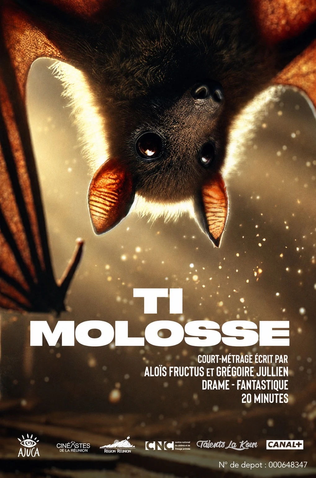 Affiche — Ti Molosse
